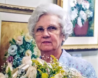 Guardi&atilde; da bandeira do Estado, Silla ajudou a contar a hist&oacute;ria de MS