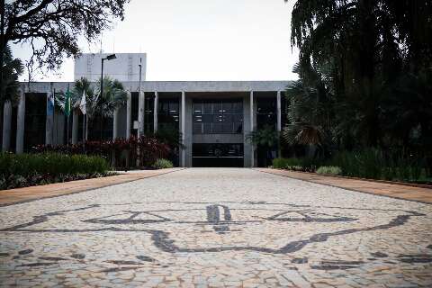 Dono de c&atilde;es &eacute; condenado ap&oacute;s ataque que matou gata em MS