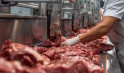 Frigor&iacute;fico &eacute; condenado ap&oacute;s trabalhador se ferir ao evitar parar produ&ccedil;&atilde;o