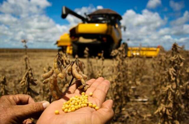 Agro aciona STF para driblar regra ambiental