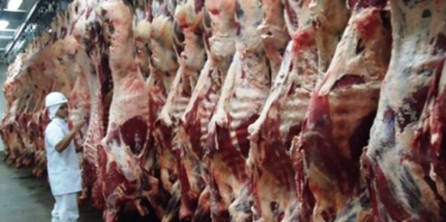 Exporta&ccedil;&atilde;o de carne bovina in natura tem alta de 44% em MS no 1&ordm; trimestre