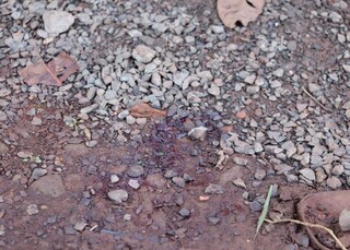 Cobran&ccedil;a de celular terminou com morte em bar e deixa quatro crian&ccedil;as sem pai