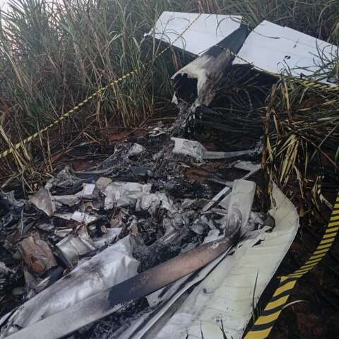 Aeronave irregular cai em usina e piloto de MS morre carbonizado