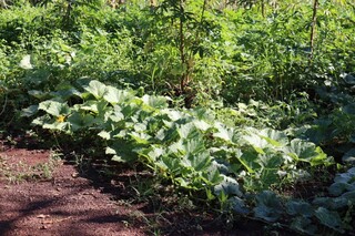 Cobran&ccedil;a de celular terminou com morte em bar e deixa quatro crian&ccedil;as sem pai