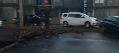 Com rua bloqueada por &aacute;rvores, motoristas desviam pela cal&ccedil;ada ap&oacute;s temporal 
