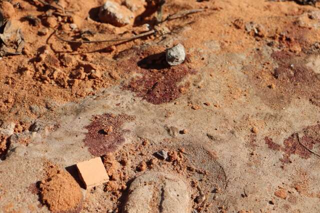 Homem &eacute; baleado por atirador em moto enquanto conversava com vizinho