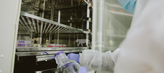 Ap&oacute;s morrer na rodovia, on&ccedil;a tem material gen&eacute;tico coletado para uso futuro