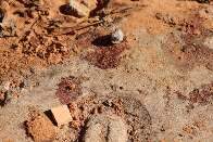 Homem &eacute; baleado por atirador em moto enquanto conversava com vizinho