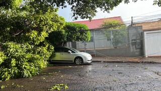 Chuva com ventos derruba &aacute;rvores e arranca telhado de casa em Campo Grande