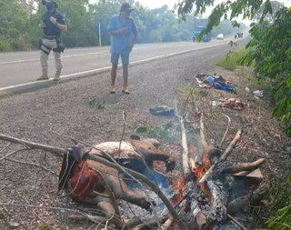 Levantamento aponta press&atilde;o sobre fauna e padr&atilde;o de empobrecimento das esp&eacute;cies