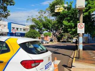 Duas figueiras centen&aacute;rias da Mato Grosso s&atilde;o removidas ap&oacute;s avalia&ccedil;&atilde;o t&eacute;cnica 