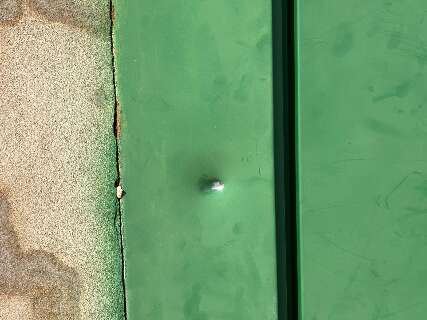 Padeiro de 62 anos &eacute; baleado ao ser chamado no port&atilde;o de casa