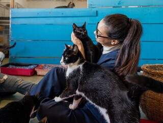 ONG de cuidado animal &eacute; condenada a pagar direitos trabalhistas &agrave; funcion&aacute;ria