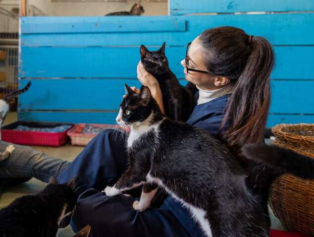 ONG de cuidado animal &eacute; condenada a pagar direitos trabalhistas &agrave; funcion&aacute;ria
