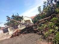 Ap&oacute;s temporal, Defesa Civil j&aacute; fez mais de 30 desobstru&ccedil;&otilde;es de ruas na Capital