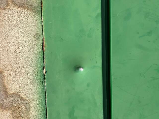 Padeiro de 62 anos &eacute; baleado ao ser chamado no port&atilde;o de casa