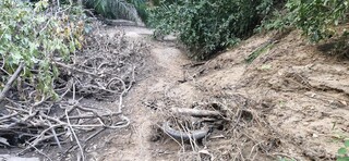 Moto encontrada com ossada &eacute; compat&iacute;vel com a de casal desaparecido