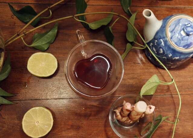 Xarope de guaco resgata gostinho de casa de v&oacute; e melhora imunidade