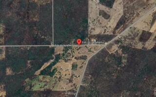 Mineradora e banqueiro s&atilde;o condenados a pagar R$ 1,8 milh&atilde;o por dano ao Pantanal