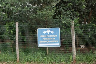 Obra de ponte &eacute; vista como amea&ccedil;a &agrave; &aacute;rea reflorestada e abre debate na Capital