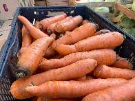 Com aumento de 8,33%, cenoura puxa alta no pre&ccedil;o da feira