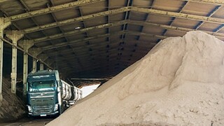 Mineradora e banqueiro s&atilde;o condenados a pagar R$ 1,8 milh&atilde;o por dano ao Pantanal