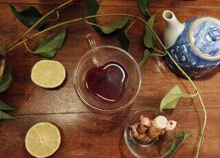 Xarope de guaco resgata gostinho de casa de vó e melhora imunidade