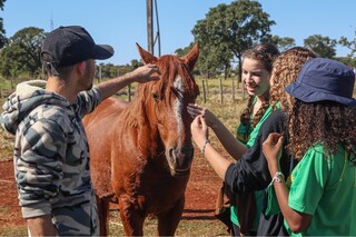 MEC volta a discutir ensino semipresencial em cursos da sa&uacute;de e veterin&aacute;ria