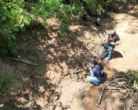 Ossada que pode ser de casal desaparecido surgiu em fazenda ligada a suspeito 