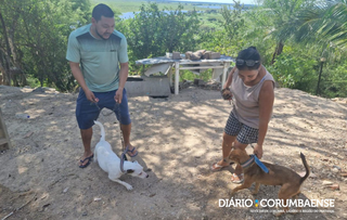 On&ccedil;a invade varanda e mata cadela dentro de fazenda