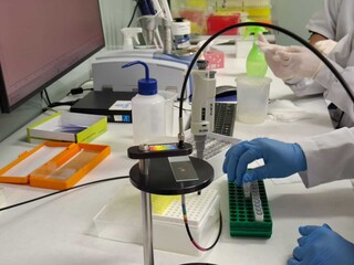 Teste desenvolvido em MS detecta dengue, chikungunya e febre amarela em 1 minuto