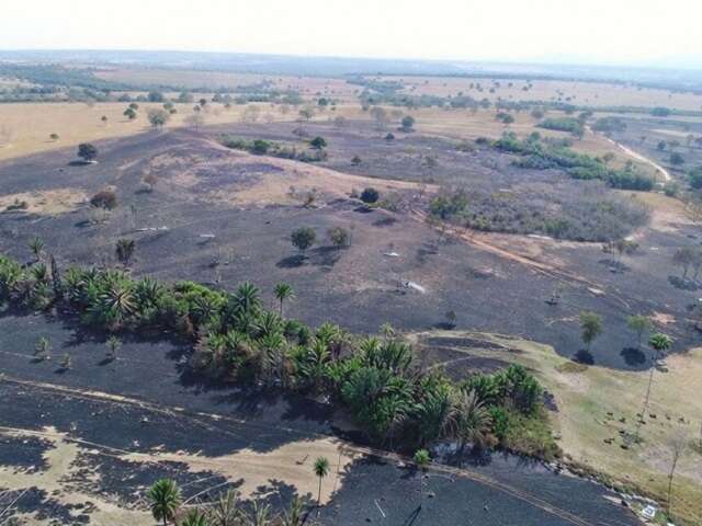 Dois anos ap&oacute;s inc&ecirc;ndio que devastou 160 hectares, &aacute;rea ser&aacute; recuperada