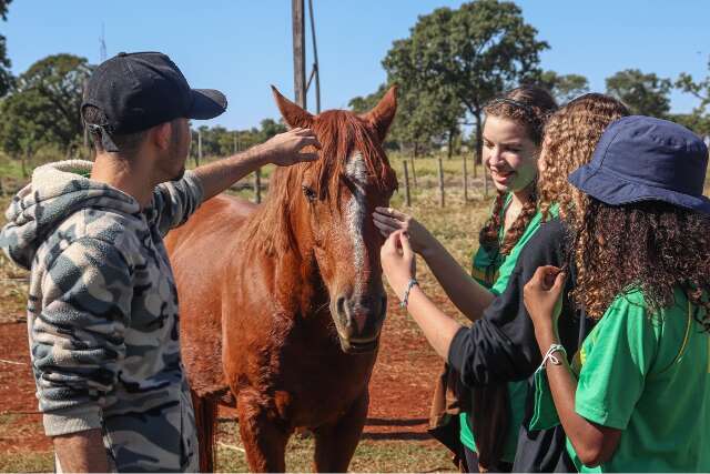 MEC volta a discutir ensino semipresencial em cursos da sa&uacute;de e veterin&aacute;ria
