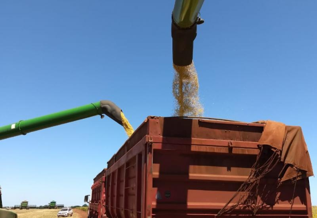 Colheita da soja atinge 97% da &aacute;rea e entra na fase final