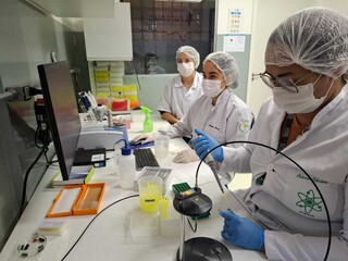 Teste desenvolvido em MS detecta dengue, chikungunya e febre amarela em 1 minuto