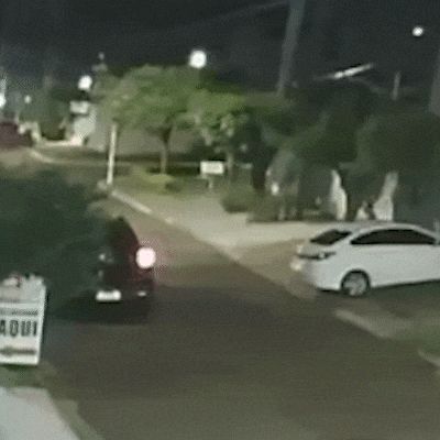 Cachorro &eacute; levado por uma mulher e tutor tenta encontrar o paradeiro de Joaquim