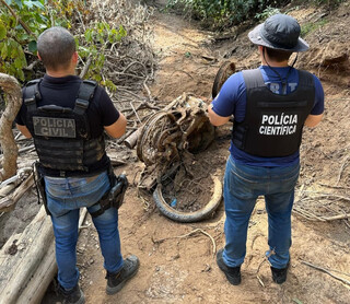 Ossada que pode ser de casal desaparecido surgiu em fazenda ligada a suspeito 