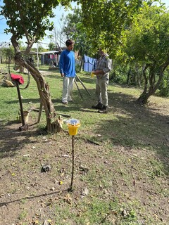 Luz afasta on&ccedil;as e reduz ataques a animais em assentamento no Pantanal