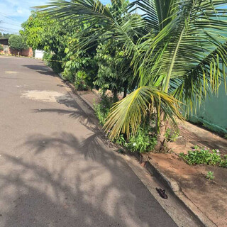 Neto d&aacute; 5 facadas no av&ocirc; de 71 anos e &eacute; preso por tentativa de homic&iacute;dio