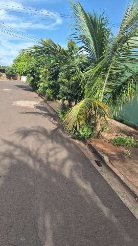 Neto d&aacute; 5 facadas no av&ocirc; de 71 anos e &eacute; preso por tentativa de homic&iacute;dio