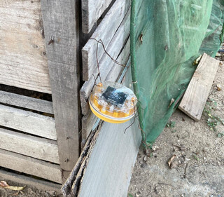 Luz afasta on&ccedil;as e reduz ataques a animais em assentamento no Pantanal