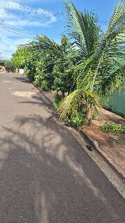 Neto d&aacute; 5 facadas no av&ocirc; de 71 anos e &eacute; preso por tentativa de homic&iacute;dio