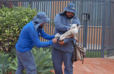 Vacina&ccedil;&atilde;o vai de casa em casa no Maria Aparecida Pedrossian e Damha 