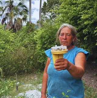 Luz afasta on&ccedil;as e reduz ataques a animais em assentamento no Pantanal