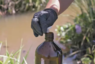 Juiz alega incompet&ecirc;ncia e extingue a&ccedil;&atilde;o contra agrot&oacute;xico no Pantanal