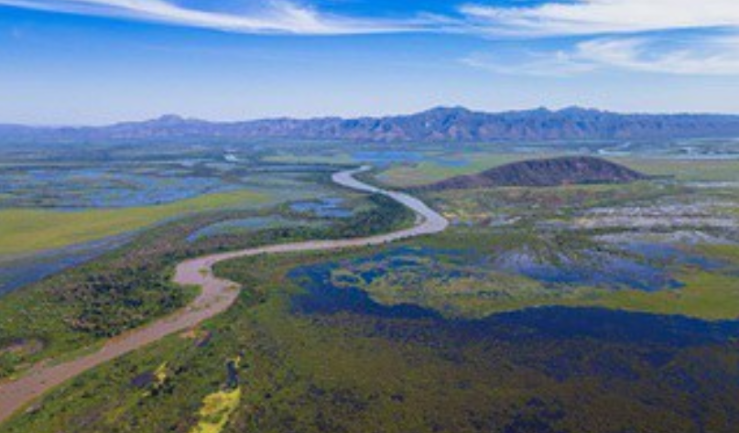 Juiz alega incompet&ecirc;ncia e extingue a&ccedil;&atilde;o contra agrot&oacute;xico no Pantanal