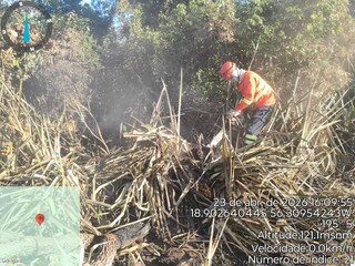 Pantanal tem focos de inc&ecirc;ndio h&aacute; 2 dias e fogo desafia bombeiros
