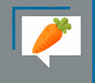 O cru e o assado nas elei&ccedil;&otilde;es do Mato Grosso do Sul