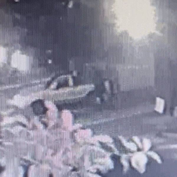 Nem le&atilde;o de hamburgueria escapa e est&aacute;tua de 150 kg &eacute; furtada