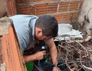 Chikungunya: o que &eacute;, como se proteger e quando procurar atendimento